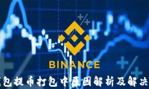 
TP钱包提币打包中原因解析及解决方法