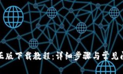 TP官方正版下载教程：详细步骤与常见问题解答