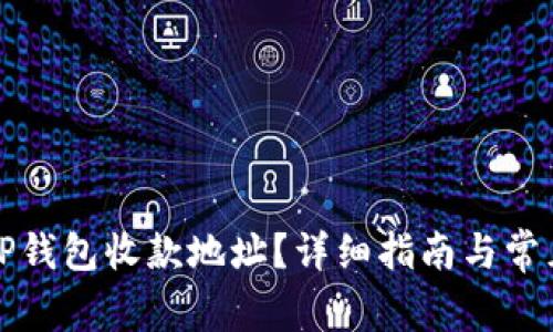 如何查询TP钱包收款地址？详细指南与常见问题解答