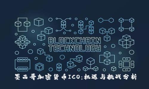 墨西哥加密货币ICO：机遇与挑战分析
