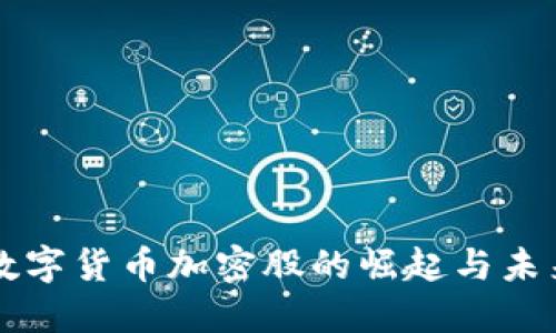 优质数字货币加密股的崛起与未来展望
