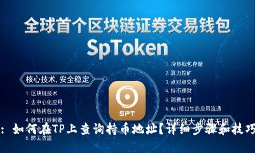 : 如何在TP上查询持币地址？详细步骤和技巧